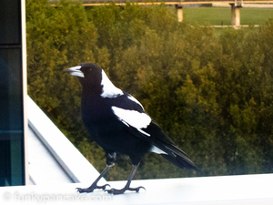 120329_s95_img_0308.jpg