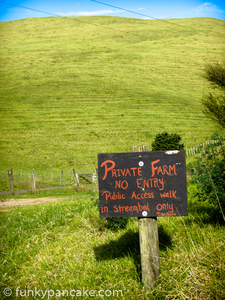 120604_s95_img_1895.jpg