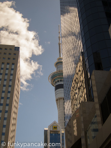 120913_s95_img_3548.jpg
