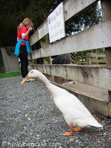 120916_s95_img_3634.jpg