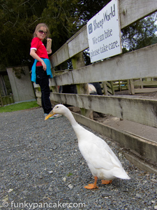 120916_s95_img_3635.jpg