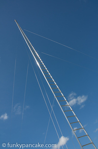 121110_450d_img_7350.jpg