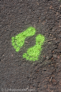 121110_450d_img_7372.jpg