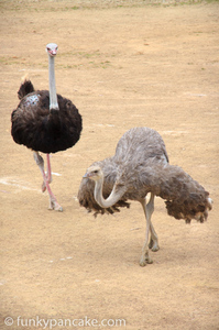 121111_450d_img_7517.jpg