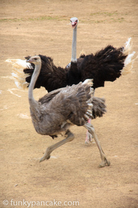 121111_450d_img_7518.jpg