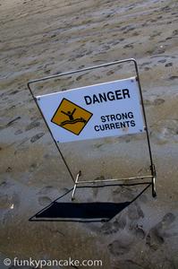 121215_450d_img_7642.jpg