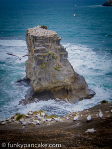 130213_s95_img_6269.jpg