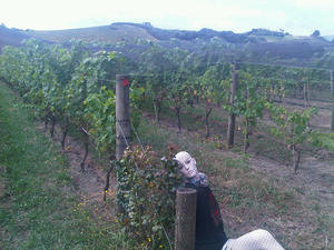 IMG00098-20120212-1634.jpg