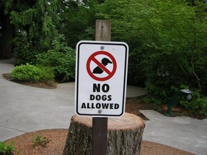 No Dogs Allowed.jpg