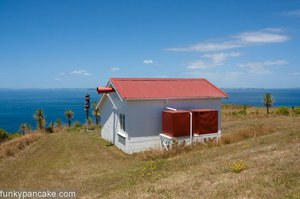 100109_450d_img_2893.jpg