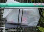 DSC05902.jpg