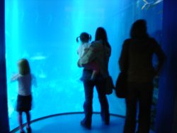 DSC02819.jpg