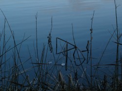 DSC06547.jpg