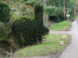 DSC06740.jpg