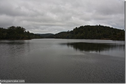 091026_450d_img_0465