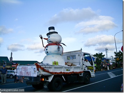 091213_ex-z40_cimg0725