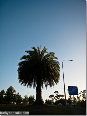 100305_850_img_8528