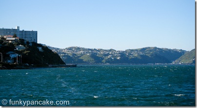 101103_850_img_3189