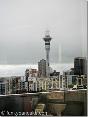101105_850_img_3270