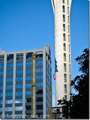 101109_850_img_3366