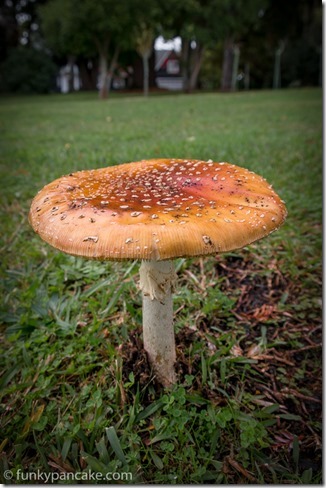 140525_IMG_4493