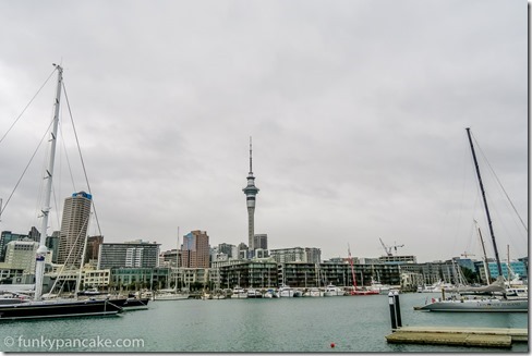 141103_IMG_1536
