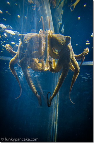 150425_IMG_4057