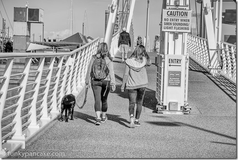 151114_IMG_3960-Edit