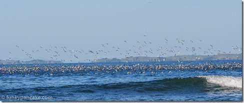 160225_IMG_3321