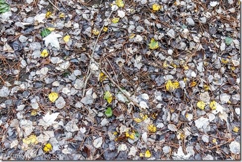 160325_IMG_0636