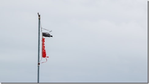 Tino Rangatiratanga - the NZ flag debate_Dave Simpson