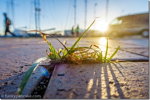 160406_IMG_6093