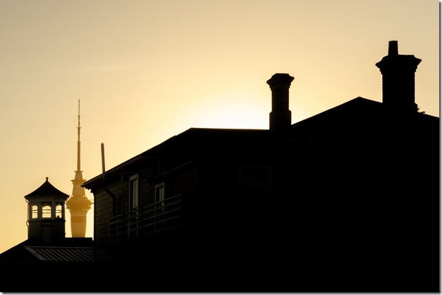 Ponsonby Sky Tower_Dave Simpson