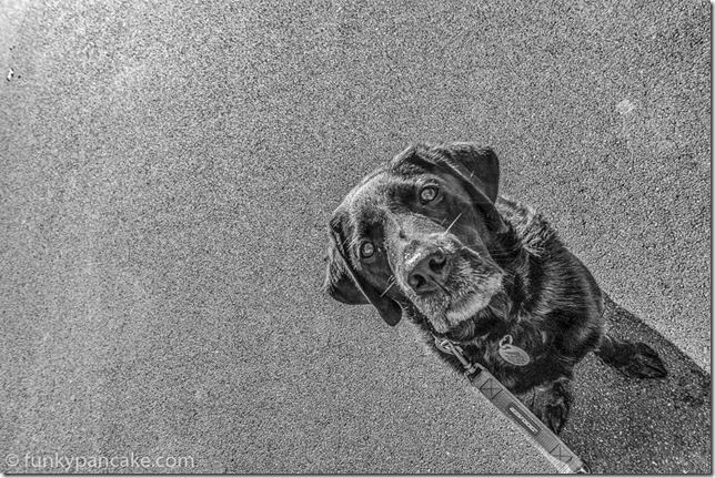 160603_IMG_8626-Edit 160603_IMG_8626-Edit