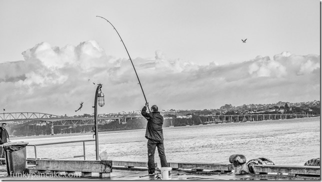 161004_IMG_4215-Edit
