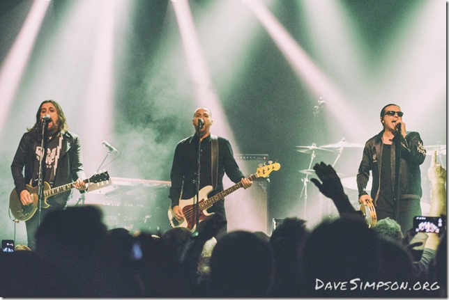 The Cult