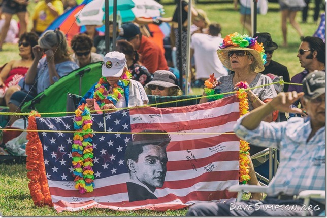 Elvis In The Park 2017