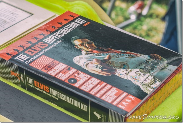 Elvis In The Park 2017