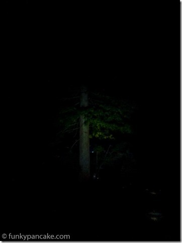 170110_Photo 10-01-2017 21 38 29