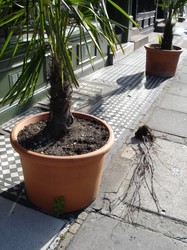 https://www.funkypancake.com/blog/stuff3/2005/10/DSC01352-thumb.jpg