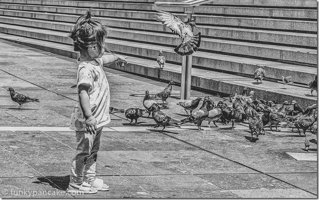 170201_IMG_0909-Edit