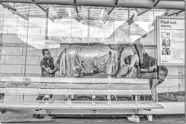 170224_IMG_1497-Edit