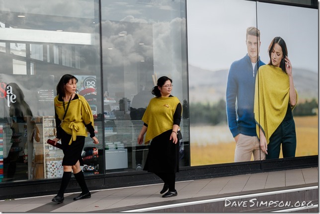 Auckland Street Photography
