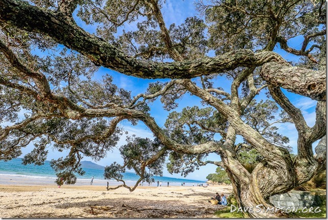 AUCKLAND, NEW ZEALAND - AUGUST 13: Takapuna Beach Auckland August 13, 2017 in Auckland, New Zealand. (Photo by Dave Simpson)