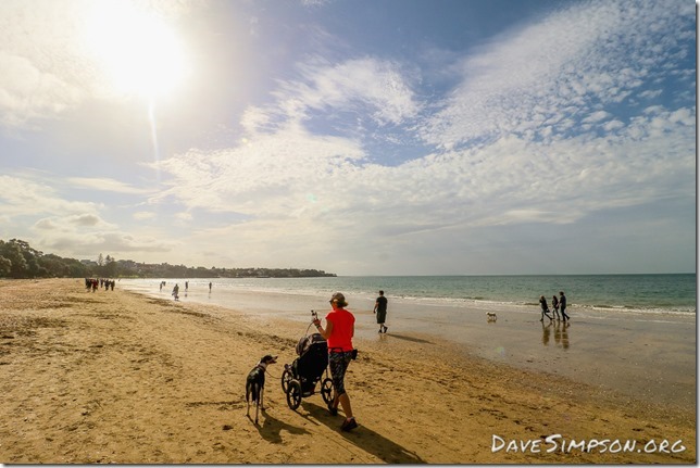 AUCKLAND, NEW ZEALAND - AUGUST 13: Takapuna Beach Auckland August 13, 2017 in Auckland, New Zealand. (Photo by Dave Simpson)