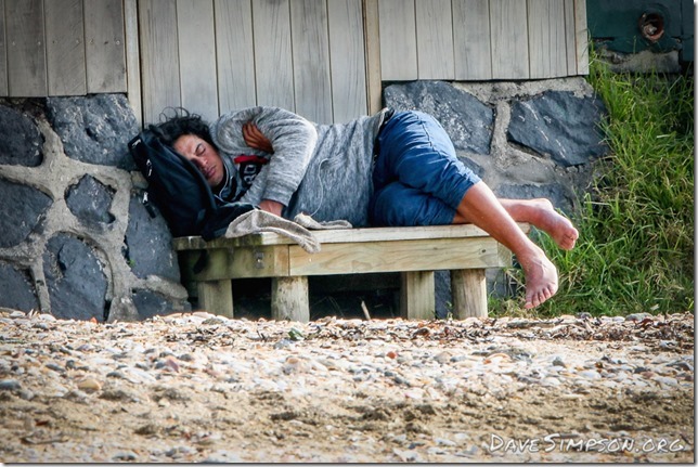 AUCKLAND, NEW ZEALAND - AUGUST 13: Takapuna Beach Auckland August 13, 2017 in Auckland, New Zealand. (Photo by Dave Simpson)