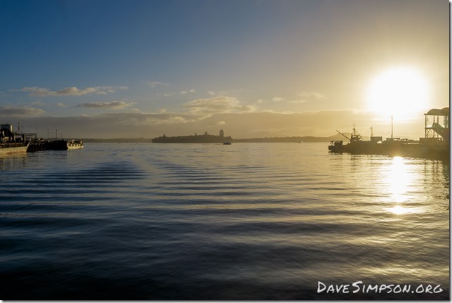 Auckland Street Photography