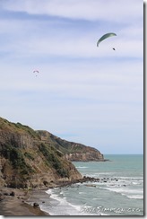 Muriwai