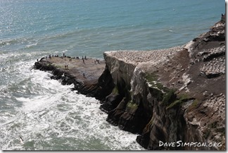 Muriwai