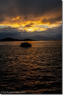 180424_IMG_5142